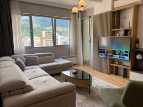Luxury apartment in the center